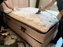 Şanlıurfa Yatak Yıkama